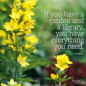 Garden Voucher - Harry Goemans Centre