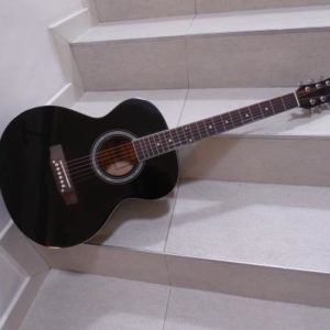 Guitar