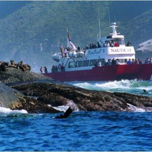 Nauticat Charters - Tickets for 2 adults and 2 children - Hout Bay