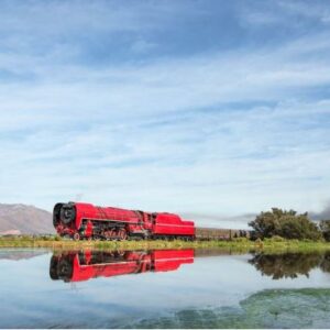 Ceres Rail Company Train to Elgin Railway Market (4 adults, 2 children)