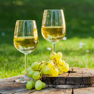Sauvignon Blanc 2021 - 2 bottles
