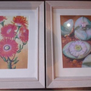 Picture Frames x 2