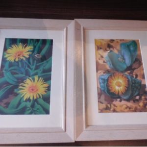Picture frames x 3
