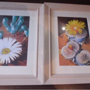 Picture frames x 2