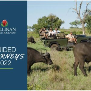 Full Day Winelands Tour For 2 People (Cape Town)