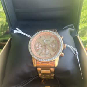 AK872RG Akribos XXIV Watch