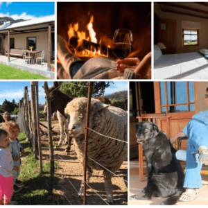 Fynbos Estate - Winter 2-Night Stay for 2 People Sharing