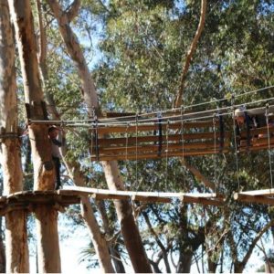 Acrobranch Entry Voucher for family of 4 - Constantia