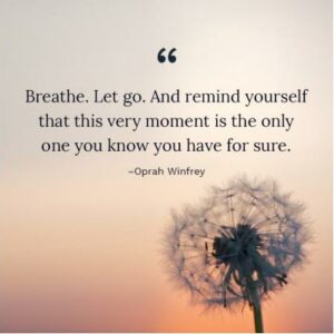 Body Stress Release: Boetie Toerien: Claremont