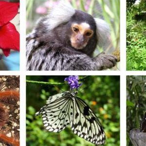 Family Entry - The Animal Sanctuary on Route 44