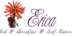 1 night for 2 (self-catering)  - George