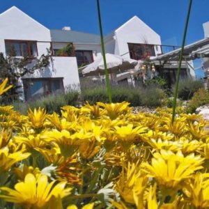 1 night for 2 - Paternoster