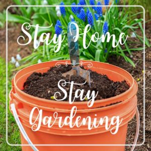 Voucher - Harry Goemans Garden Centre - Sunnydale