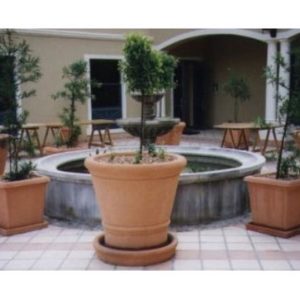 Voucher for Garden Pot - Delivery in Cape Town