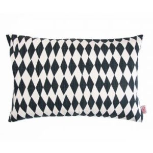 2 x Scatter Cushion Covers (47cm x 47cm): #2205011B