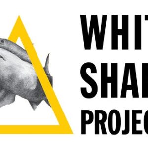 Shark Diving & Viewing Trip for 2 - Gansbaai