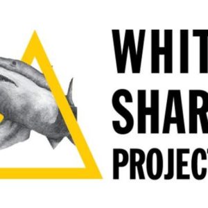 Shark Diving & Viewing Trip for 2 - Hermanus