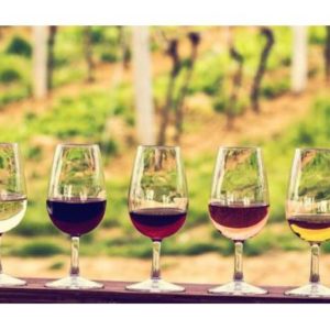 Thompsons Touring - Winelands Tour for 2
